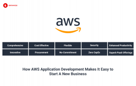 AWS Cloud